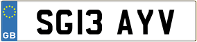 Truck License Plate